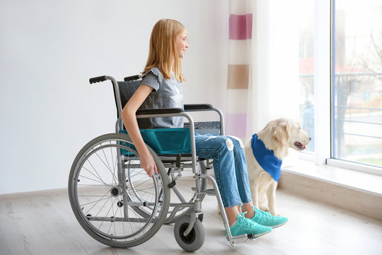 Girl in wheelchair with service dog indoors