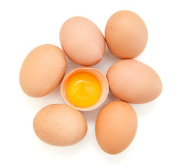 brown eggs on white background