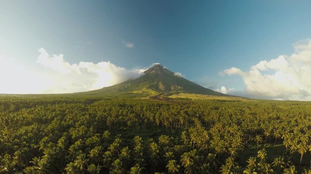 Mayon Volcano near Legazpi city in Philippines. Aerial view over the palm jungle and plantation at sunset. Mayon Volcano is an active volcano and 2462 meters high.