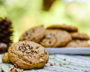 Pecan Cookies