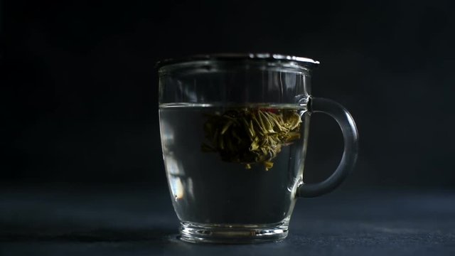 Time lapse of the tea with flower developing 