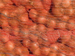 Onions in red netting