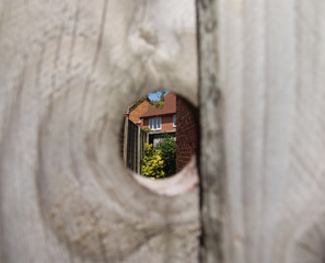 Peek into the back garden