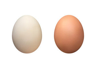 White And Brown Eggs Isolated Vector Illustration