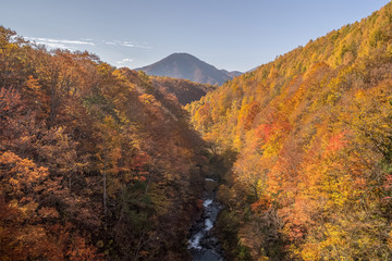 Nakatsugawa gorge at Fukushima in autumn