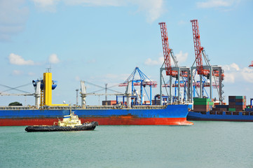 Fototapeta premium Tugboat assisting bulk cargo ship