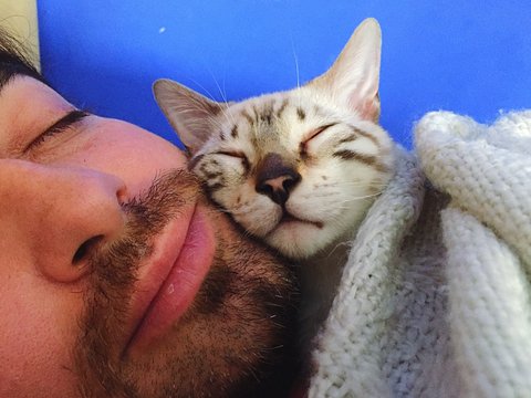 gattino dorme con il suo padrone