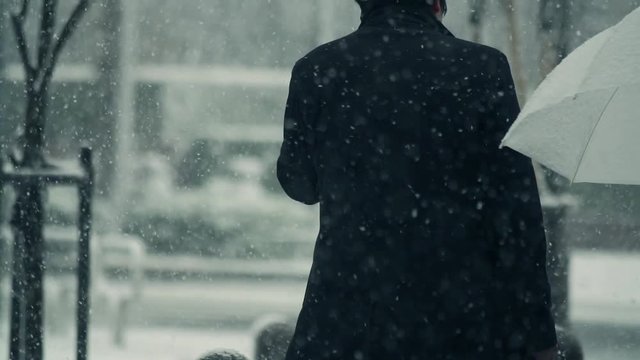 雪　街　豪雪　吹雪　歩く　東京　都会