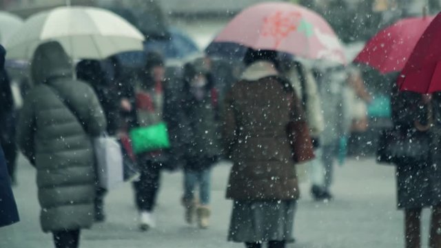 雪　街　豪雪　吹雪　歩く　東京　都会