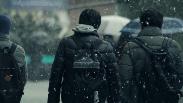 雪　街　豪雪　吹雪　歩く　東京　都会