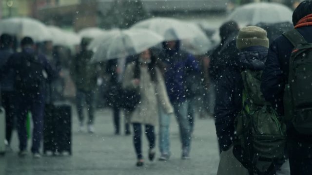 雪　街　豪雪　吹雪　歩く　東京　都会