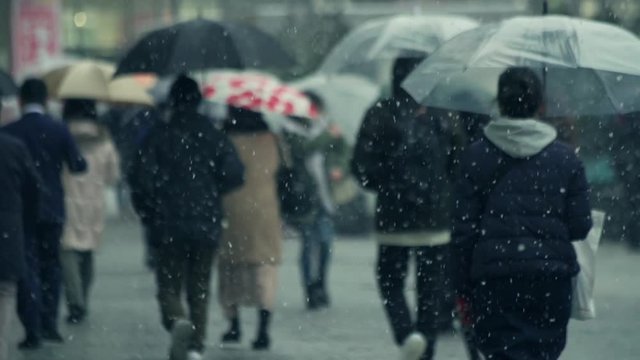 雪　街　豪雪　吹雪　歩く　東京　都会