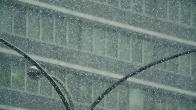 雪　街　豪雪　吹雪　歩く　東京　都会
