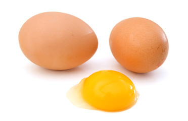 brown egg on white background