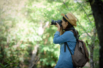 Beautiful Asian girl tourist stands on a rock to photograph nature with a digital camera DSLR in the jungle on a high mountain. Holiday Travel Concept.