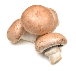 Common mushrooms on white 
