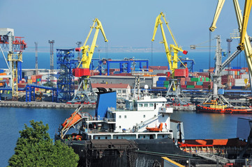 Naklejka premium Bulk cargo ship under port crane