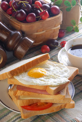 Healthy ham sandwich with cheese and tomato, fried egg         