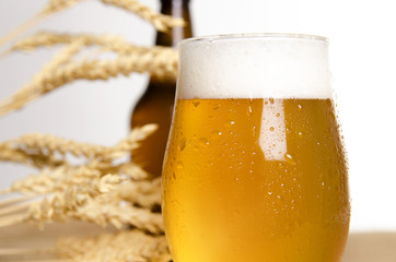 Closeup of beer glass , wheat and bottle in background 