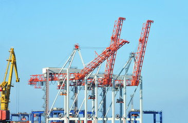 Port cargo crane