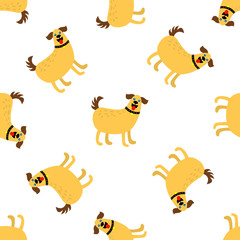 Obraz premium dog wallpaper