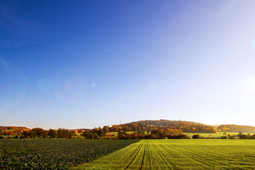 Sunny german countryside during fall season