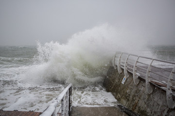 Fototapeta na wymiar storm on shore in winter. strong storm in blizzard. Waves break sea embankment in winter storm.