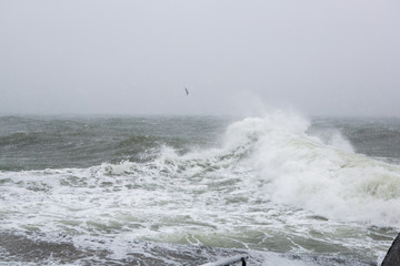 storm on shore in winter. strong storm in blizzard. Waves break sea embankment in winter storm.