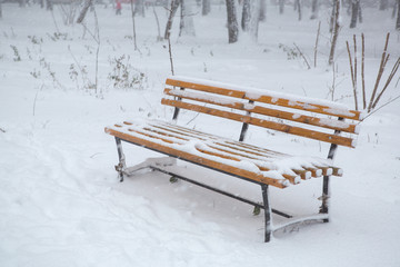 bench under the snow near snowy trees. Empty bench in forest under snow in winter