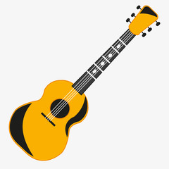 Music instrument guitar