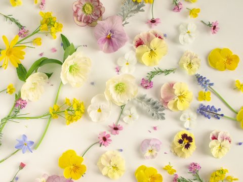 1 057 2 Best 花 Images Stock Photos Vectors Adobe Stock 1 057 2 Best 花 Images Stock Photos Vectors Adobe Stock