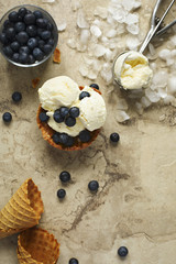 Vanilla ice cream with fresh blueberries