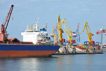 Bulk cargo ship under port crane