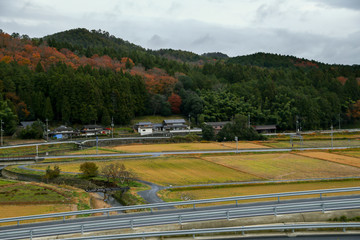 View old village on the way to Ine Boathouse on a rainy day.