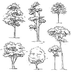 Set of Hand Drawn Trees : Vector Illustration - 189427346