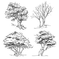 Set of Hand Drawn Trees : Vector Illustration