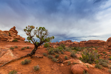 Storm clouds, rain, and red geologic sandstone structures in the Utah desert, Arches National Park