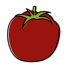 Tomato fresh vegetable icon vector illustration graphic design