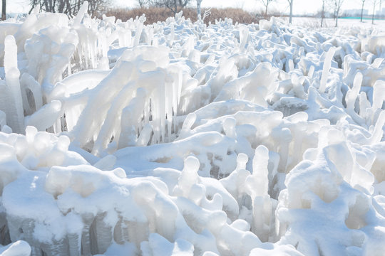 Beautiful icicles