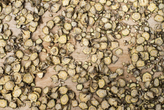 DryTinospora cordifolia, Menispermaceae herb for healthy.