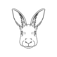 Sketch of hares head, portrait of forest animal black and white hand drawn vector Illustration