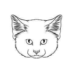 Sketch of lynx head, portrait of wild cat animal black and white hand drawn vector Illustration