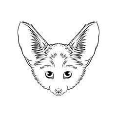 Sketch of desert fennec fox head, portrait of forest animal black and white hand drawn vector Illustration