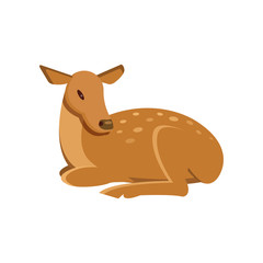 Spotted fallow roe deer lying, wild animal cartoon vector Illustration