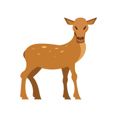 Spotted fallow roe deer, wild animal cartoon vector Illustration