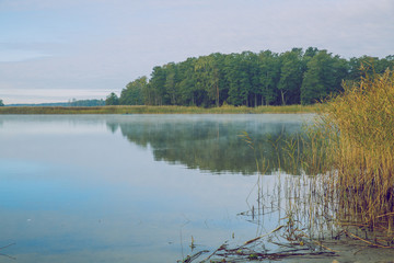 Plakat mat