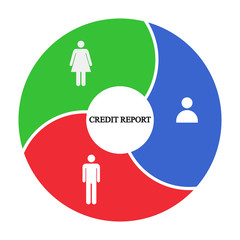 Business infographics. Pie chart with the inscription:credit report