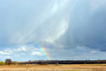 Rainbow on cloudy sky over field of yellow grass and black earth, trees along electricity line, spring sunny day in Ukraine
