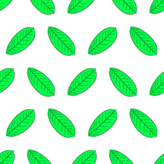 Seamless pattern from green leaf of plant from the contour black brush lines on white of vector illustration