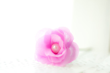 【植物】パールとフラワー